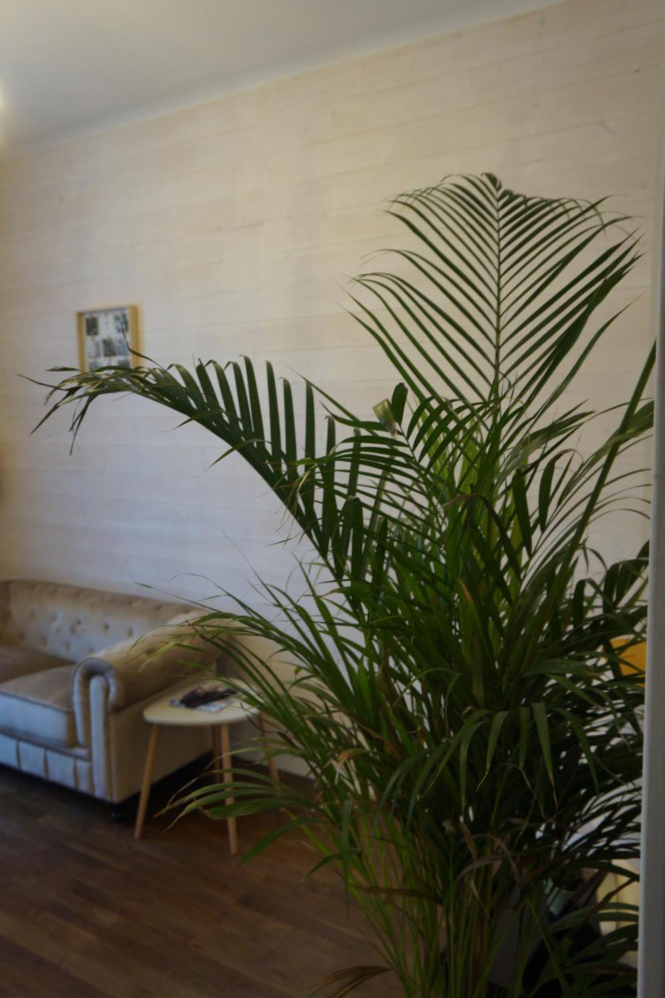 L'Experience Appartement & Spa Prive Chambéry Kültér fotó